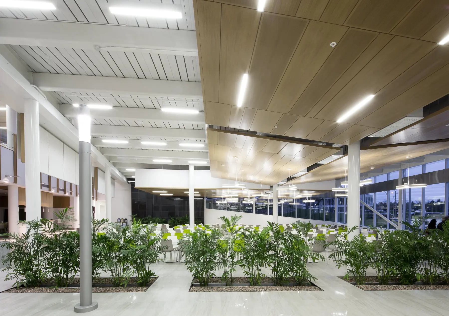 Cité Desjardins 5